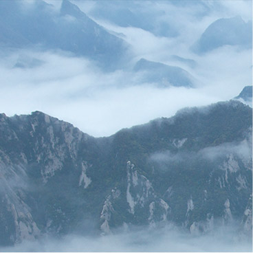 短信轰炸机网页版